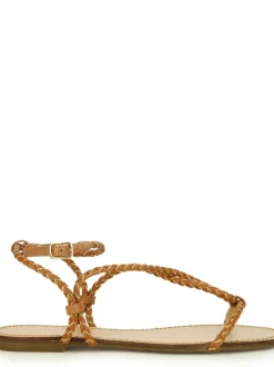 2234011 COCONUT