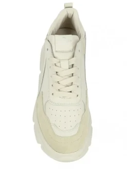 CPH 46 CREAM