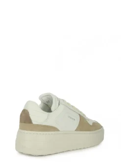 CPH 75 WHINUI