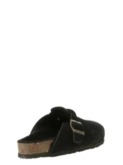 GW1843 NERO